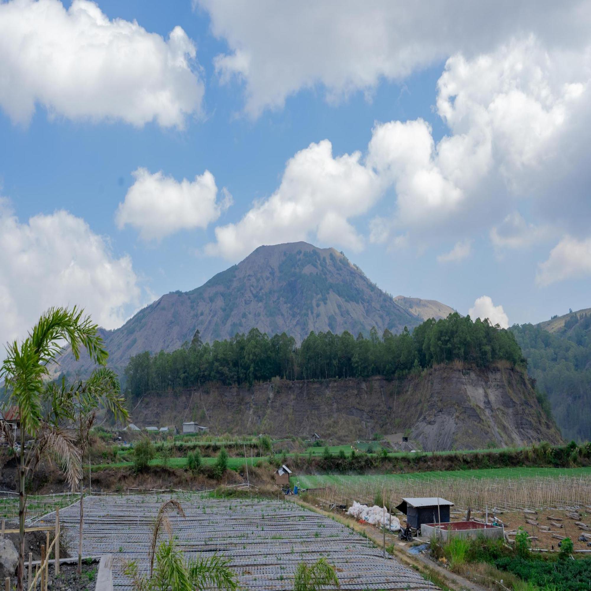 Batur Kencana Villa Mitra Reddoorz Baturaja  Exteriör bild